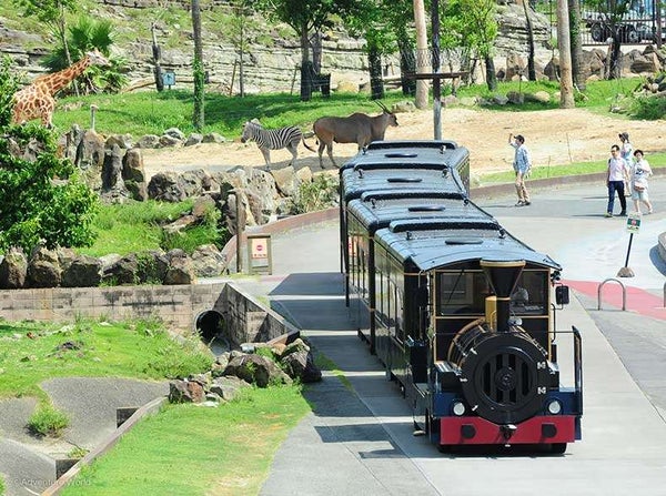 パンダファミリーに会いに行こう!南紀白浜アドベンチャーワールドの旅【田原本・大和八木・橿原神宮・五位堂発】2